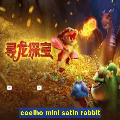 coelho mini satin rabbit